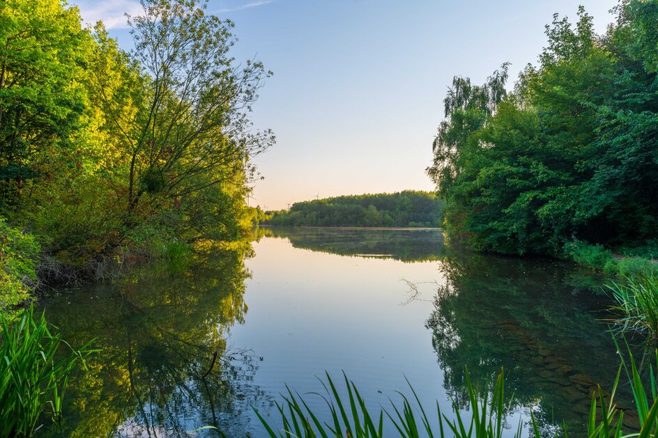 Rhein-Erft-Kreis sucht Freiwillige für den Bundesfreiwilligendienst im Naturschutz